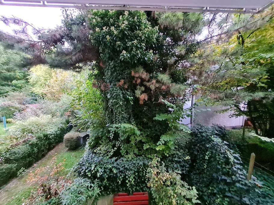 City-jungle Artcommodation Appartement München